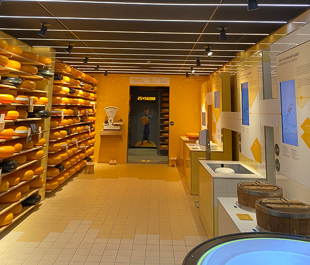 Gouda Cheese Experience